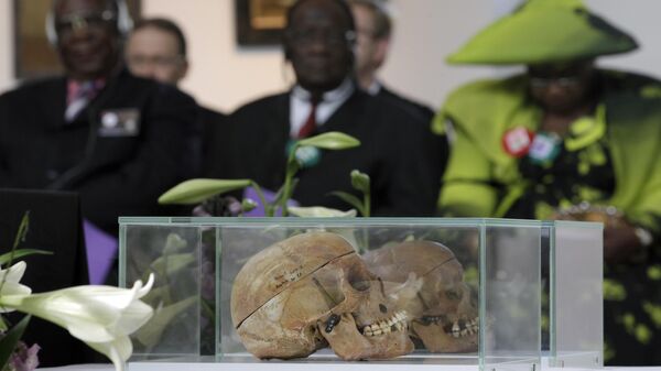 Des crânes de peuples Héréro et Nama exposés lors d'une cérémonie à laquelle ont participé des représentants des tribus namibiennes à Berlin, en Allemagne, le 29 septembre 2011. - Sputnik Afrique