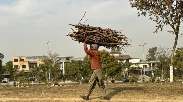 Un Pakistanais transporte du bois de chauffage à Islamabad, au Pakistan, le 8 janvier 2024 - Sputnik Afrique