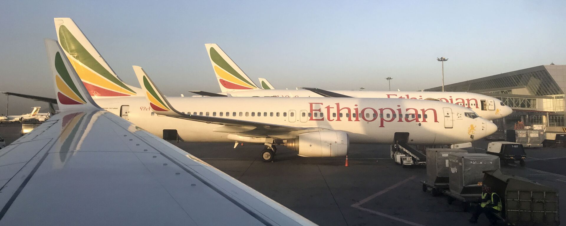 Самолет авиакомпании Ethiopian Airlines  - Sputnik Africa, 1920, 10.08.2024