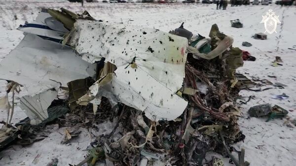 In this handout video grab released by the Russian Investigative Committee, debris are seen at the crash site of an Ilyushin Il-76 military transport airplane of the Russian air forces near the village of Yablonovo in Belgorod region, Russia, on January 26, 2024.  - Sputnik Africa