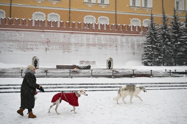 A woman walks with her dogs in the Alexander Garden in Moscow. - Sputnik Africa