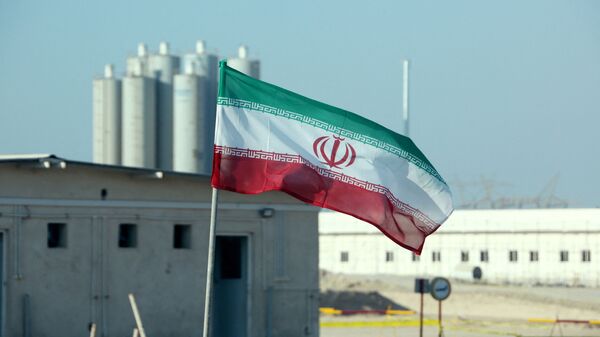A picture taken on November 10, 2019, shows an Iranian flag in Iran's Bushehr nuclear power plant, during an official ceremony to kick-start works on a second reactor at the facility - Sputnik Africa