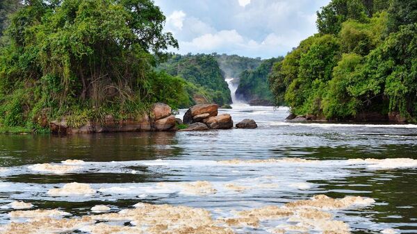 Murchison Falls, Nile River, Uganda - Sputnik Africa