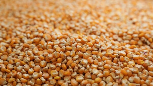 Plus de 9.000 tonnes de semences et de 36.000 tonnes d'engrais seront fournies au Burkina Faso