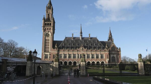 A view of the Peace Palace, which houses the International Court of Justice, or World Court, in The Hague, Netherlands, on Jan. 26, 2024. - Sputnik Africa