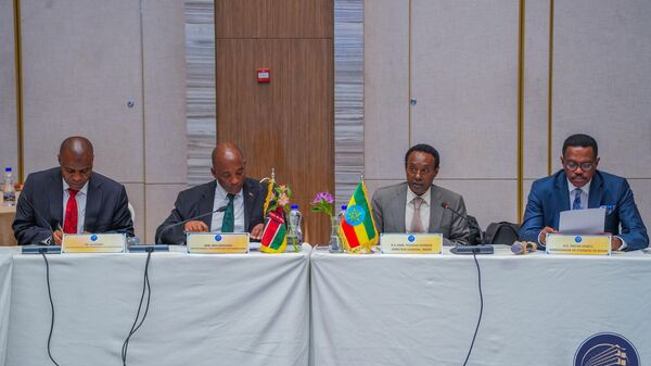 Ethiopia-Kenya Joint Ministerial Commission Meeting has began today in Addis Ababa - Sputnik Africa