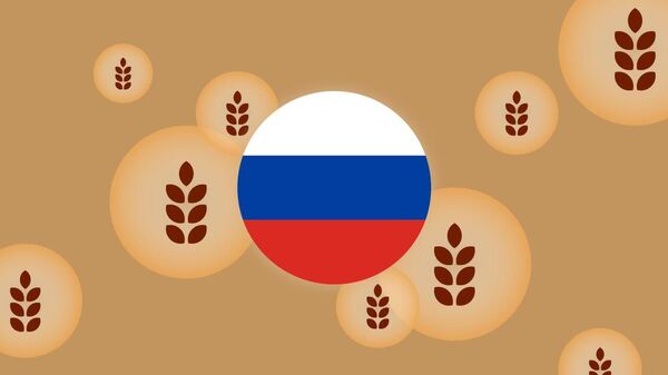 To which African countries did Russia deliver 200,000 tonnes of free grain? - Sputnik Africa