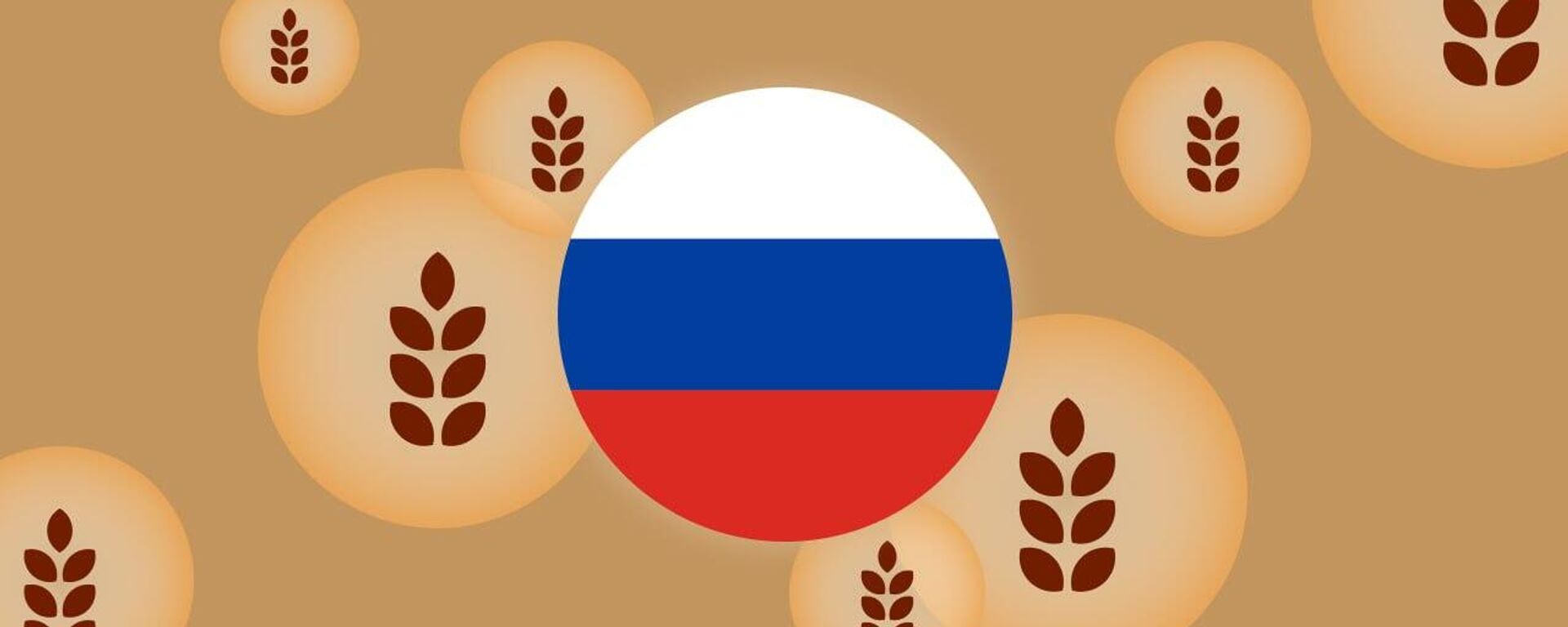 To which African countries did Russia deliver 200,000 tonnes of free grain? - Sputnik Africa, 1920, 21.02.2024