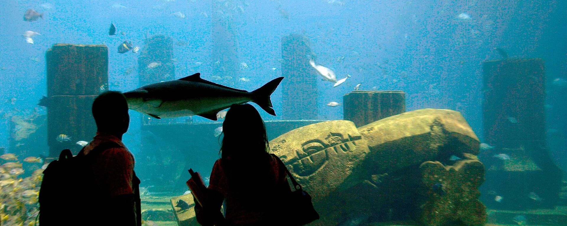 Guests watch fish swimming in the lost chambers section of one of the largest aquariums in the Middle East at the Atlantis resort on the Palm Jumeirah in Dubai on July 1, 2008.  - Sputnik Africa, 1920, 25.02.2024