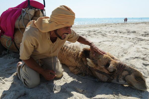 A camel driver on the beach on the island of Djerba in Tunisia. - Sputnik Africa