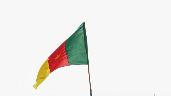 Cameroonian flag  - Sputnik Africa