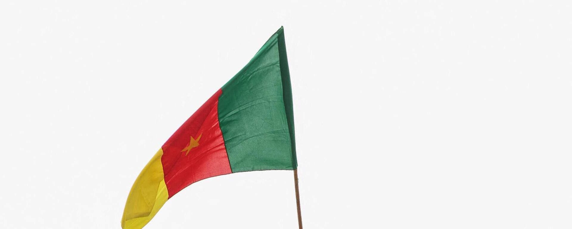 Cameroonian flag  - Sputnik Africa, 1920, 08.03.2024