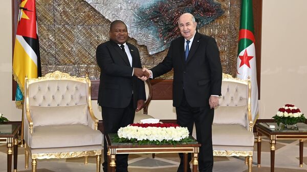 Mozambican President Filipe Nyusi meets with his Algerian counterpart Abdelmadjid Tebboune - Sputnik Africa