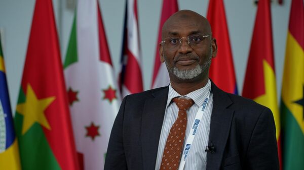 Burundi's Minister of Hydraulics, Energy and Mines Ibrahim Uwizeye - Sputnik Africa