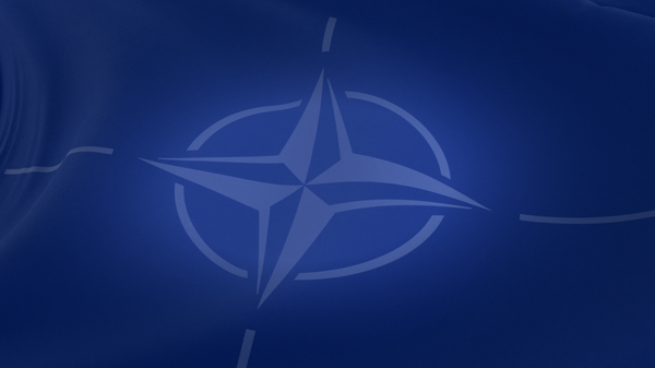 NATO 75 anniversary infogr cover - Sputnik Africa