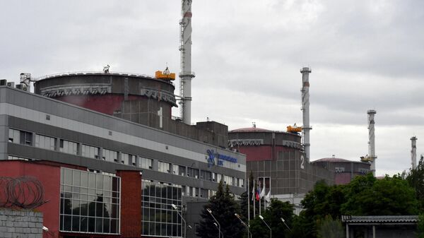 A photo shows a view of the Russian-controlled Zaporozhye nuclear power plant in southern Ukraine on June 14, 2023.  - Sputnik Africa