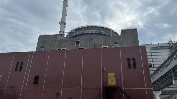 Zaporozhye nuclear power plant - Sputnik Africa