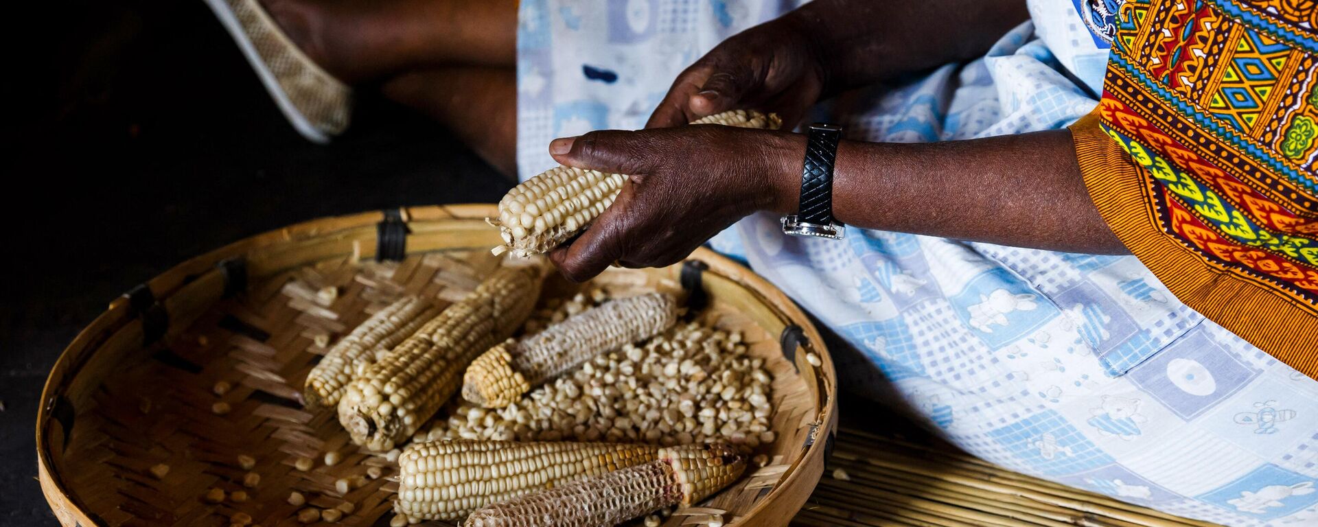 Poet, storyteller and retired schoolteacher, Hatifari Munongi shells a basket of corn at the replica traditional homestead she set up in the backyard of her house in the suburb of Marlborough in Harare on October 18, 2018. - Sputnik Africa, 1920, 15.04.2024