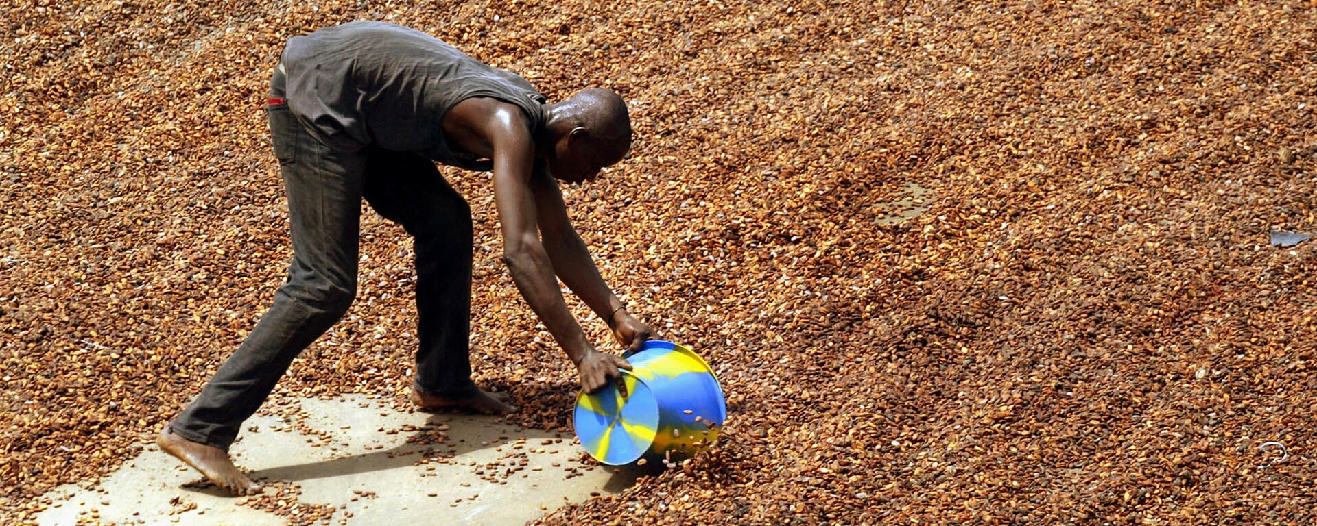 In this April 6, 2004 file photo, a worker shovels up cocoa beans after they have been dried in the sun, ready to be put into into sacks for export, in Guiglo in western Ivory Coast. West Africa's cocoa industry is still trafficking children and using forced child labor despite nearly a decade of efforts to eliminate the practices, according to an independent audit published by Tulane University in late September 2010. - Sputnik Africa, 1920, 16.04.2024