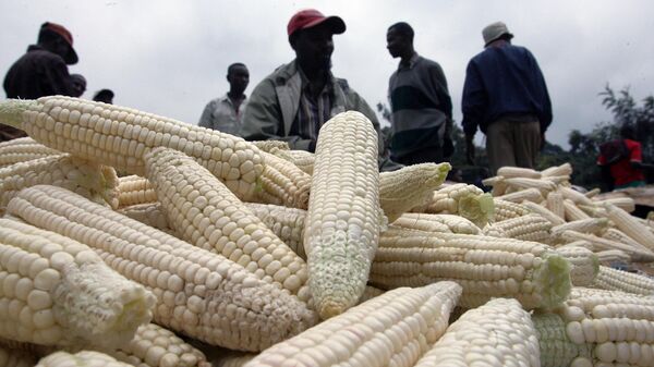 A Kenyan food vendor selling maize, waits for buyers, 4 June 2008, at his shop in Kagemi 15 km from Nairobi. - Sputnik Africa