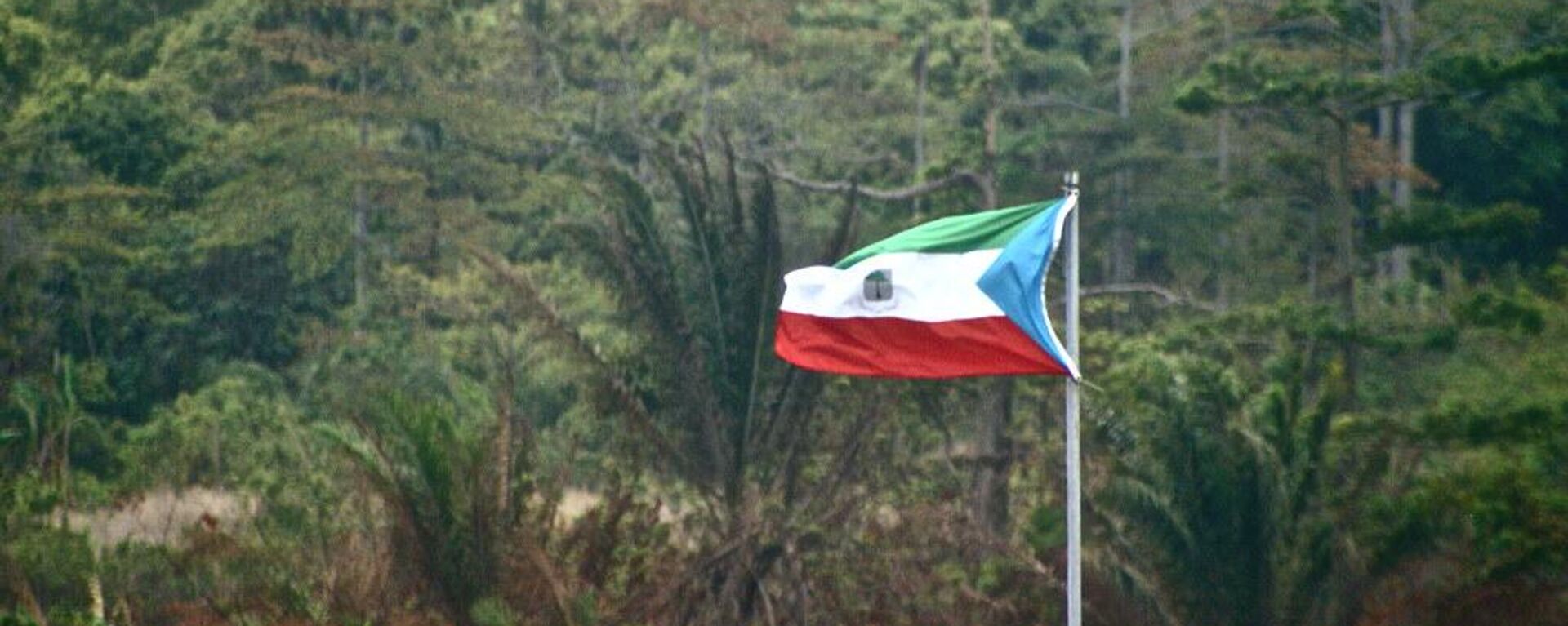 Equatorial Guinea flag - Sputnik Africa, 1920, 24.04.2024