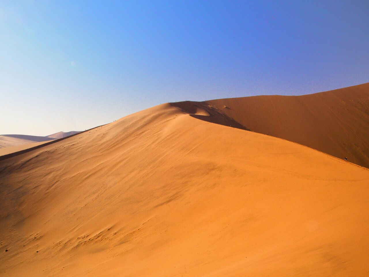 Nus dans les dunes (72) фото