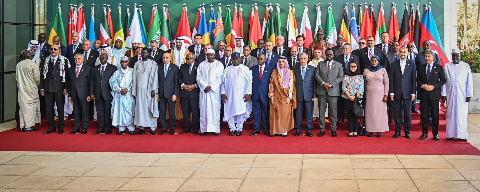 Summit of the Organization of Islamic Cooperation in The Gambia - Sputnik Africa, 1920, 04.05.2024