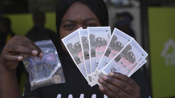 A woman holds the new Zimbabwean banknotes and coins called the ZiG, in the streets of Harare, Zimbabwe, Tuesday, April 30, 2024. - Sputnik Africa
