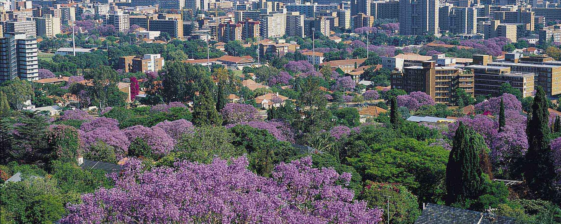 Pretoria, South Africa - Sputnik Africa, 1920, 06.02.2025