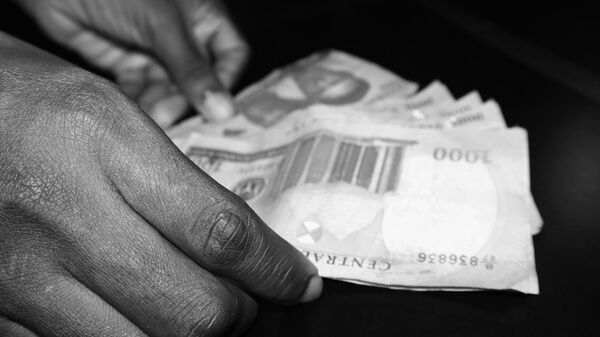 Vers un nouveau système financier et monétaire international hors dollar et euro en Afrique ? - Sputnik Afrique