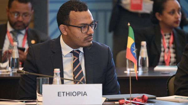 Governor of the National Bank of Ethiopia, Sherpa of Ethiopia in BRICS Mamo Esmelealem Mihretu at a meeting of Sherpas and Sous-Sherpas of the BRICS countries in Moscow. - Sputnik Africa