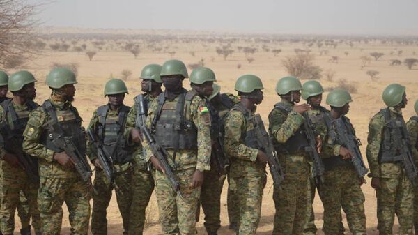 Exercices militaires au Niger   - Sputnik Afrique