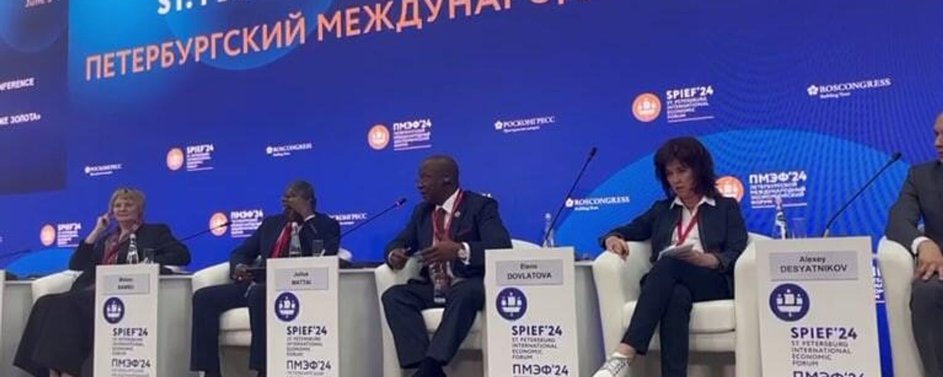 Sierra Leone's Minister of Mines and Mineral Resources, Julius Mattai, at the St. Petersburg International Economic Forum (SPIEF) 2024. - Sputnik Africa, 1920, 05.06.2024