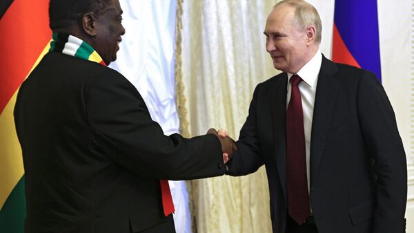 Президент Владимир Путин провел переговоры с президентом Республики Зимбабве Эммерсоном Мнангагвой - Sputnik Afrique
