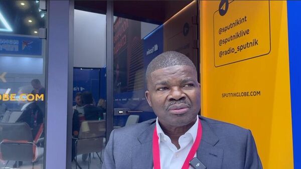 Group Chairman of the South African Akani Properties company, Zamani Letjane, at SPIEF 2024 - Sputnik Africa