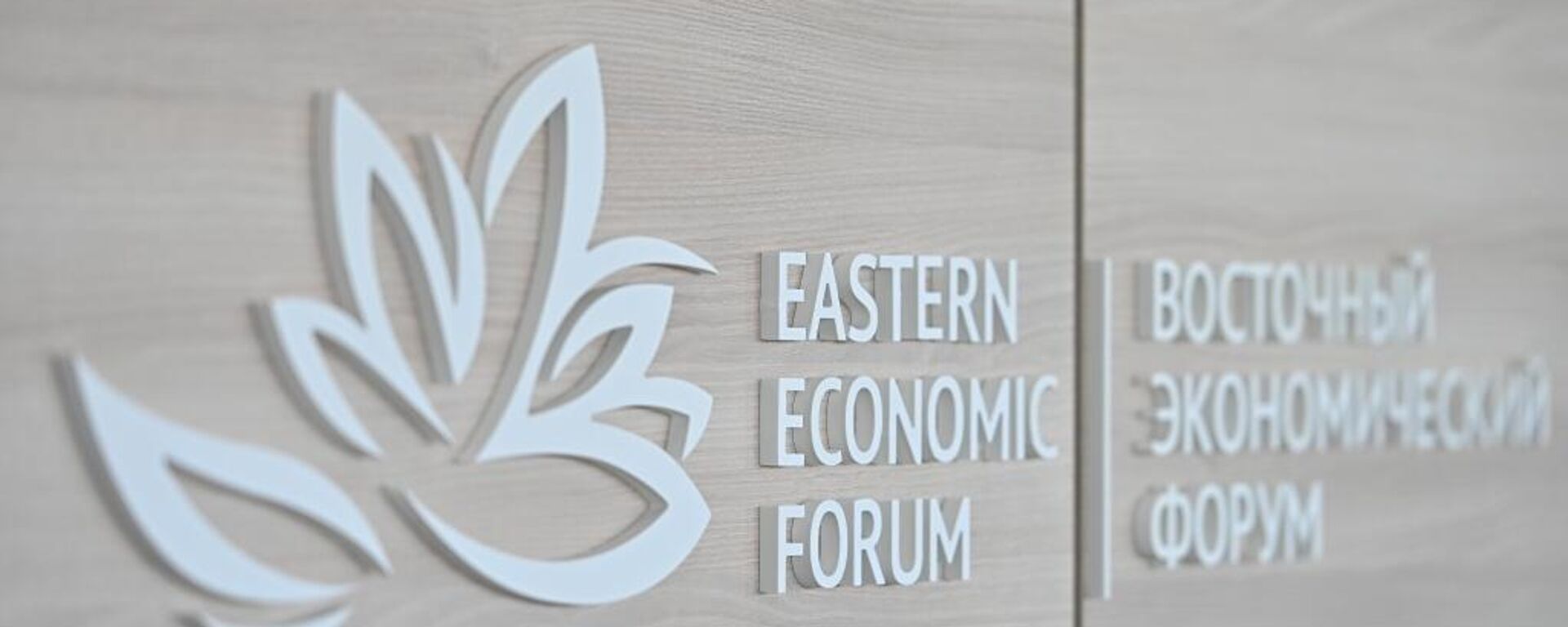 Far East, Arctic's Development, Cooperation in Asia-Pacific to Be Discussed at EEF 2024 - Sputnik Africa, 1920, 19.06.2024