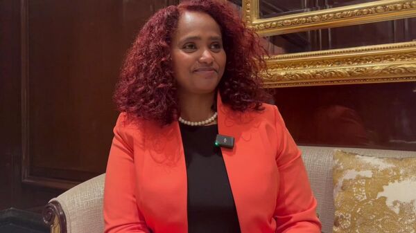Ethiopian Tourism Minister Nasise Challi  - Sputnik Africa