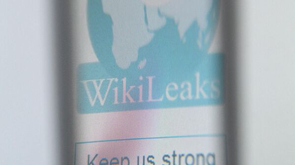 The logo of the website specialised in publishing secret documents WikiLeaks is seen through a a magnifying glass on December 6, 2010 in Paris. - Sputnik Africa