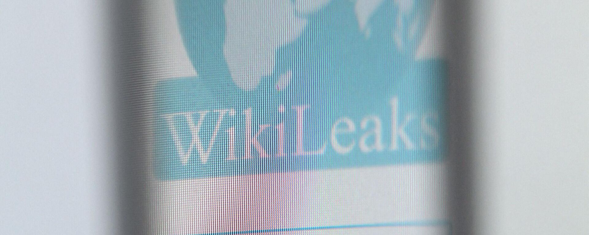 The logo of the website specialised in publishing secret documents WikiLeaks is seen through a a magnifying glass on December 6, 2010 in Paris. - Sputnik Africa, 1920, 26.06.2024