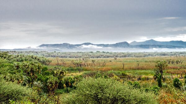 Awash National Park, Ethiopia - Sputnik Africa