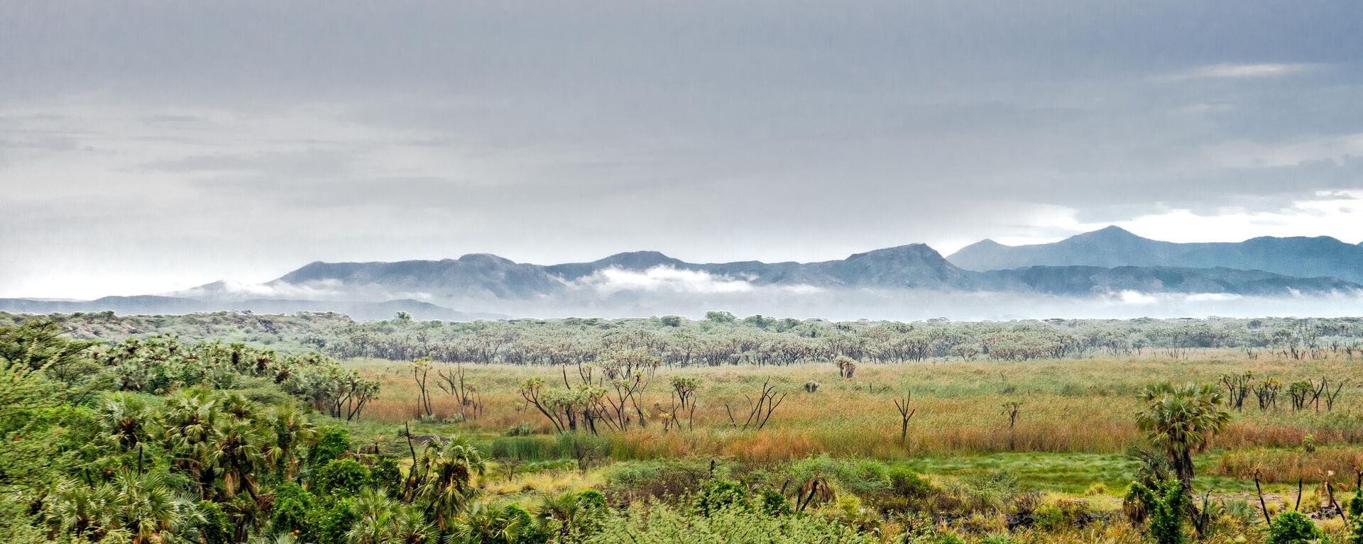 Awash National Park, Ethiopia - Sputnik Africa, 1920, 29.06.2024