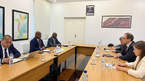 The head of the Russian Federal Agency for Mineral Resources (Rosnedra) Evgeny Petrov and the Minister of Public Works, Housing and Water Resources of Mozambique Carlos Mesquita during a working meeting discuss the activation of cooperation between the Russian hydroelectric company RusHydro and the Mozambican government in the power industry. - Sputnik Africa