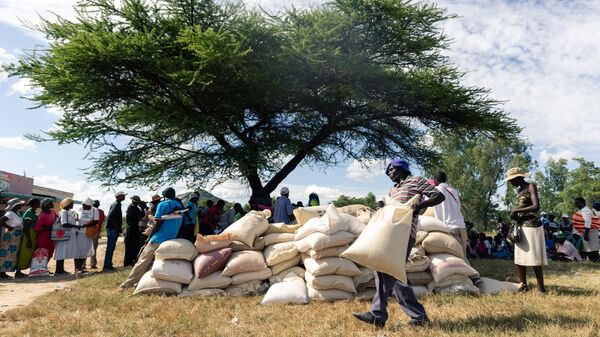 A man carries a full bag of donated maize grain on March 13 2019, in the Mutoko rural area of Zimbabwe.  - Sputnik Africa