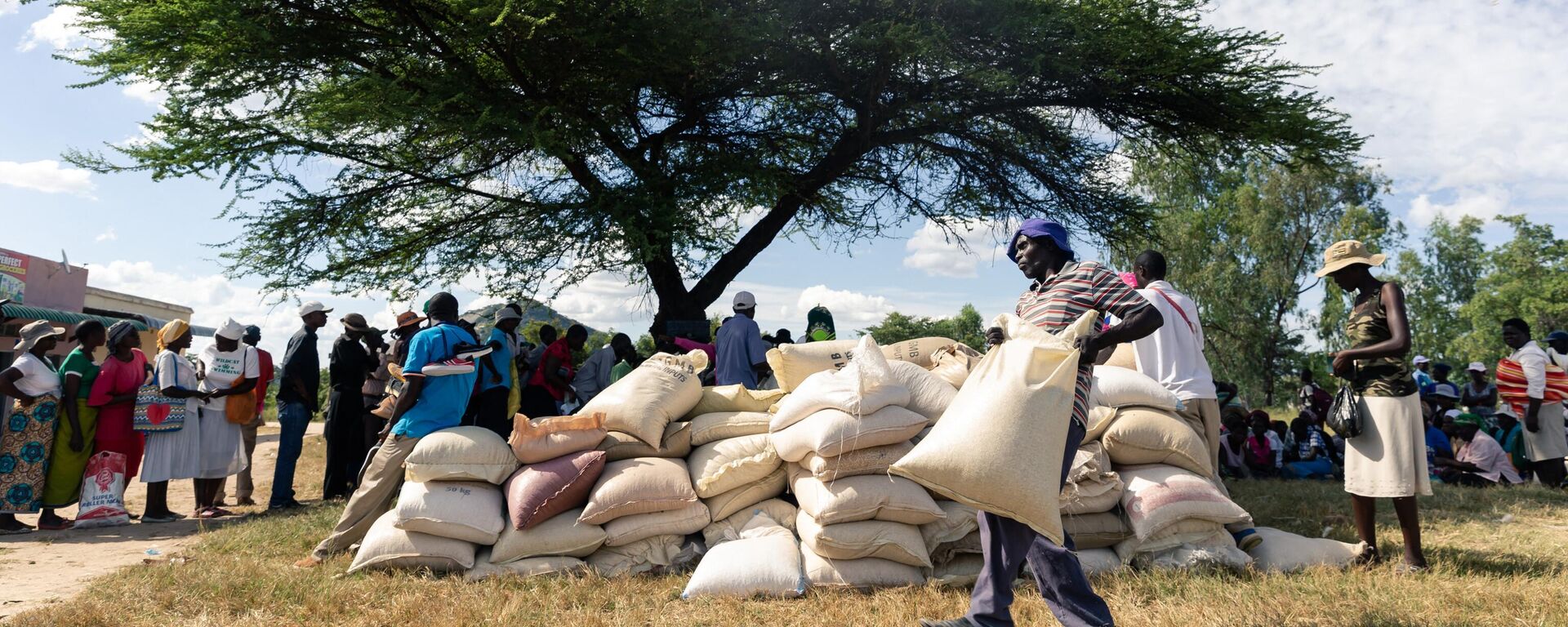 A man carries a full bag of donated maize grain on March 13 2019, in the Mutoko rural area of Zimbabwe.  - Sputnik Africa, 1920, 01.08.2024