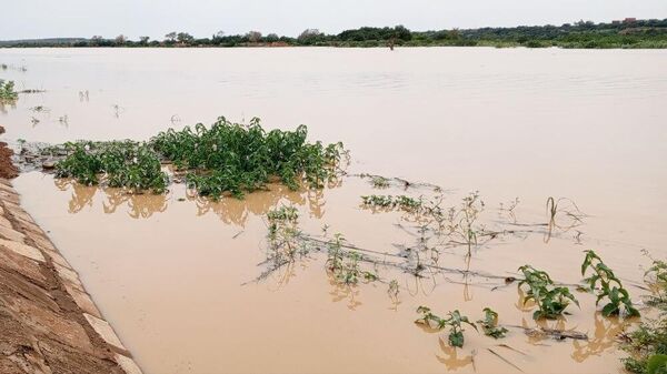 Inondations au Niger, le 20 août 2024 - Sputnik Afrique