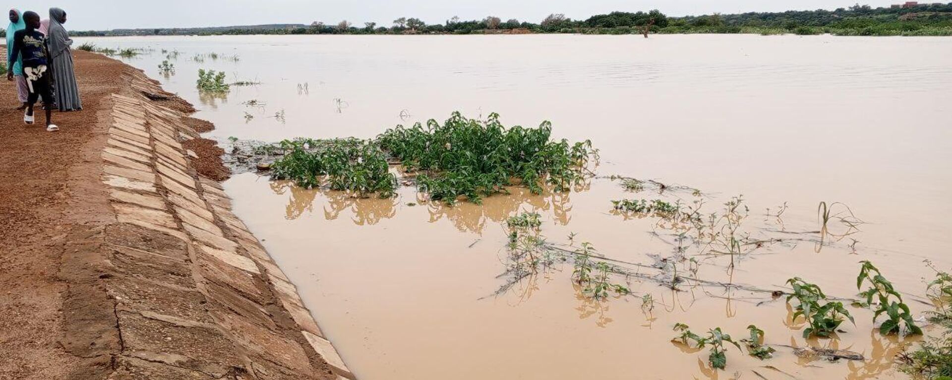 Floods in Niger - Sputnik Africa, 1920, 21.08.2024