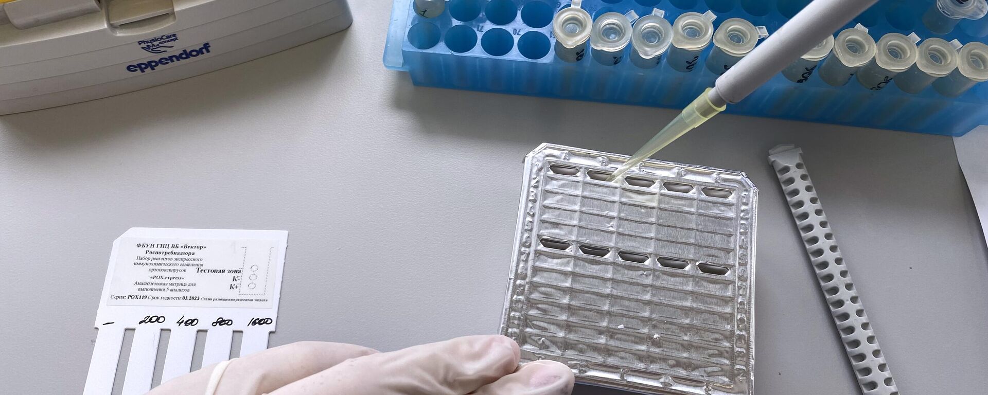 A test system for detecting cases of monkeypox infection, created by the State Research Center of Virology and Biotechnology Vector in Novosibirsk. - Sputnik Africa, 1920, 22.08.2024