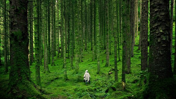 L'Éthiopie va planter 600 millions de jeunes arbres durant une nuit