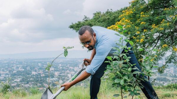 Ethiopian Prime Minister Abiy Ahmed participating in the National Planting Day on August 20, 2024. - Sputnik Africa