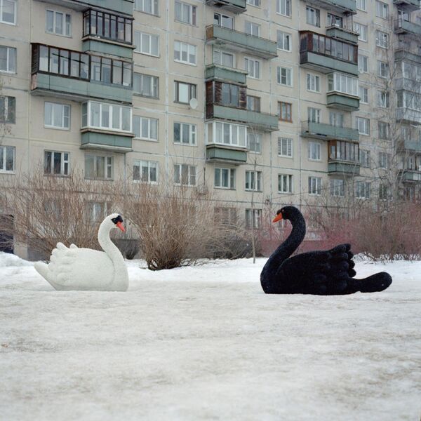 Regarder dans les yeux de l'homme, série Héro de notre temps, d'Anna Plyusnina (Russie). La photographie fait partie des finalistes du concours international de photojournalisme Stenine 2024.  - Sputnik Afrique